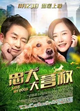 《忠犬大营救》：泪洒荧幕！狗狗的忠诚与人类的救赎，年度催泪弹来袭！