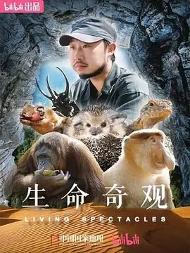 《生命奇观》：震撼！BBC 纪录片带你领略地球生命的壮丽与脆弱，感受大自然的鬼斧神工！