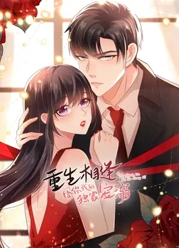 《重生相逢：给你我的独家宠溺 第二季》：霸道总裁的甜蜜续写，高甜预警！