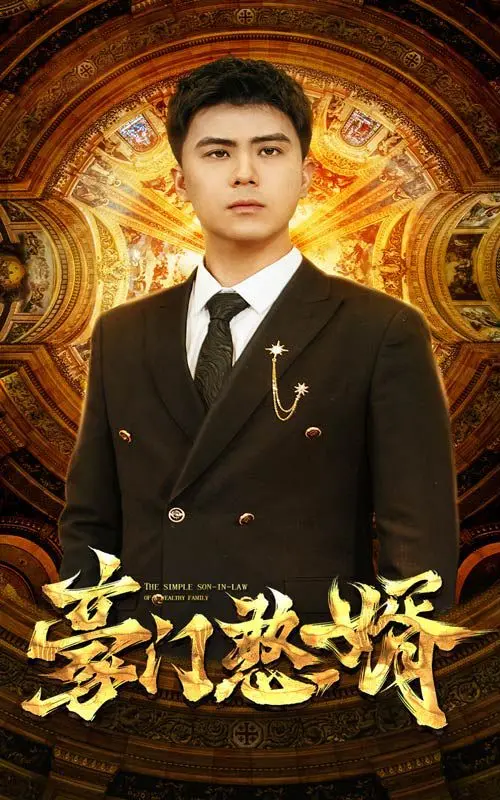 《豪门憨婿》：当废柴逆袭上演商战风云，揭秘怪盗淑女的惊天秘密